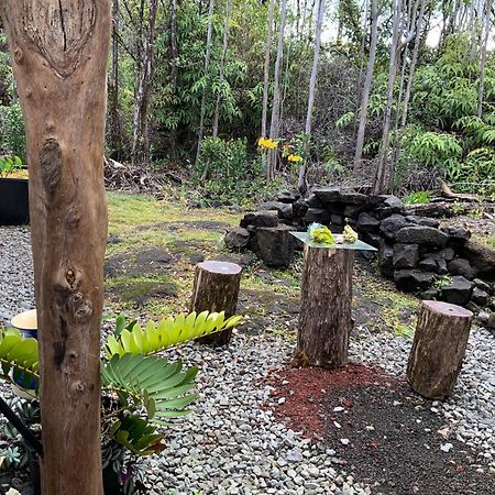Exotic Garden Cottage At Amazing Volcano Fissure Mountain View Bagian luar foto