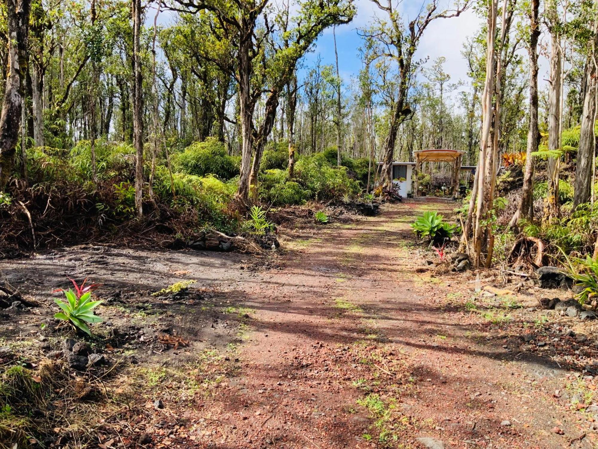 Exotic Garden Cottage At Amazing Volcano Fissure Mountain View Bagian luar foto
