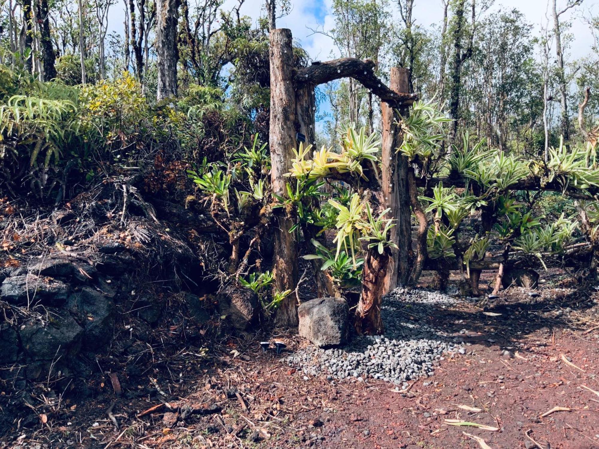 Exotic Garden Cottage At Amazing Volcano Fissure Mountain View Bagian luar foto