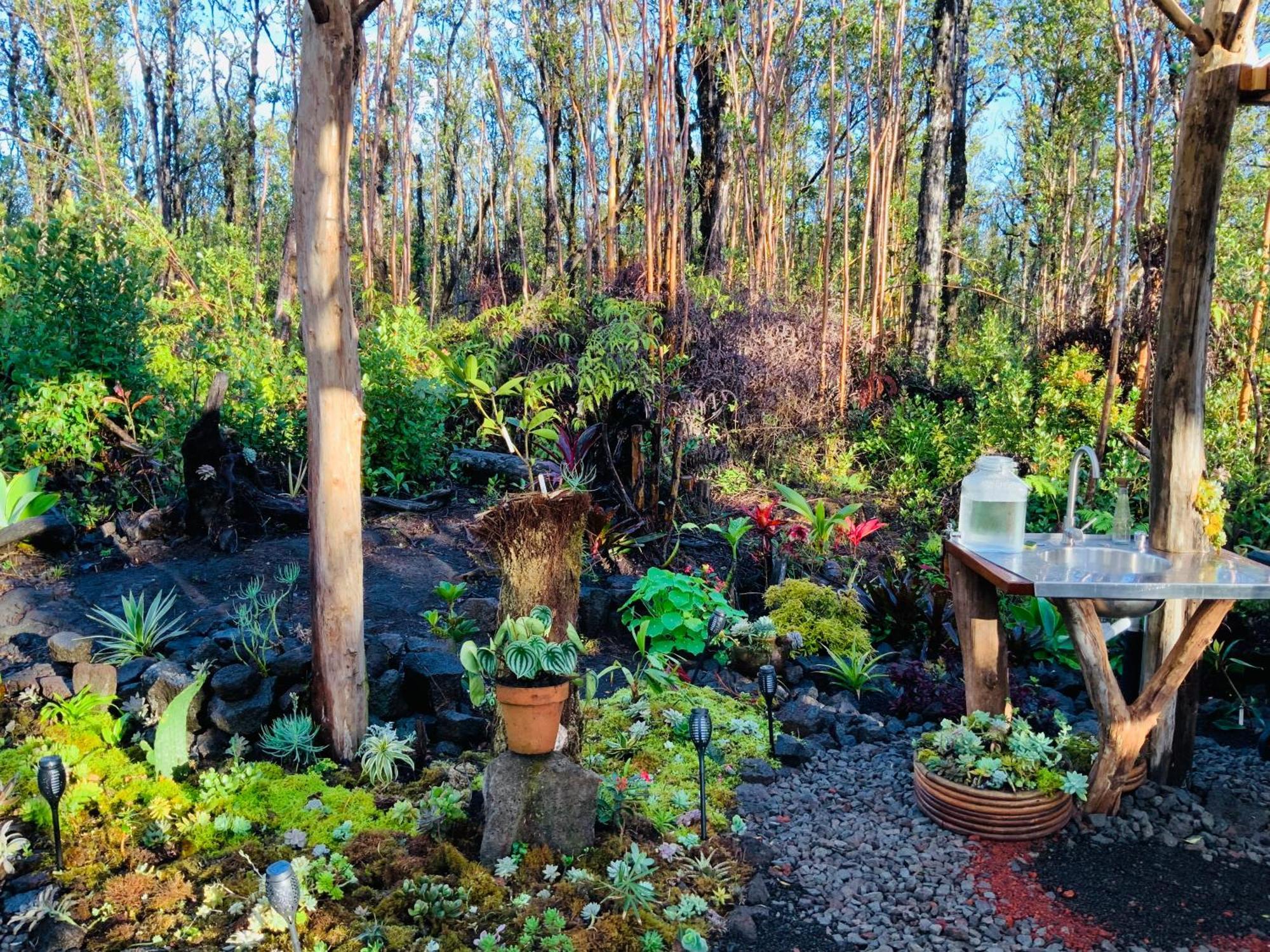 Exotic Garden Cottage At Amazing Volcano Fissure Mountain View Bagian luar foto