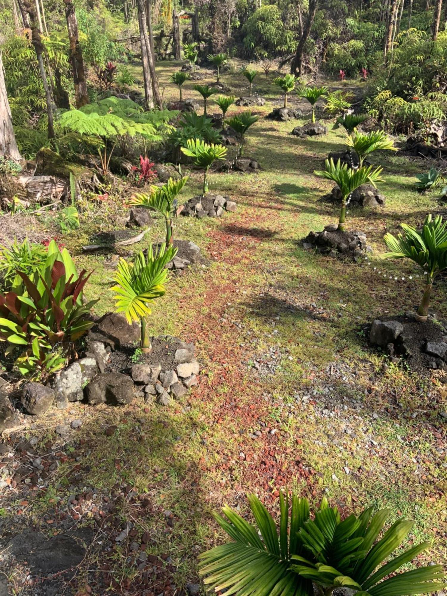 Exotic Garden Cottage At Amazing Volcano Fissure Mountain View Bagian luar foto