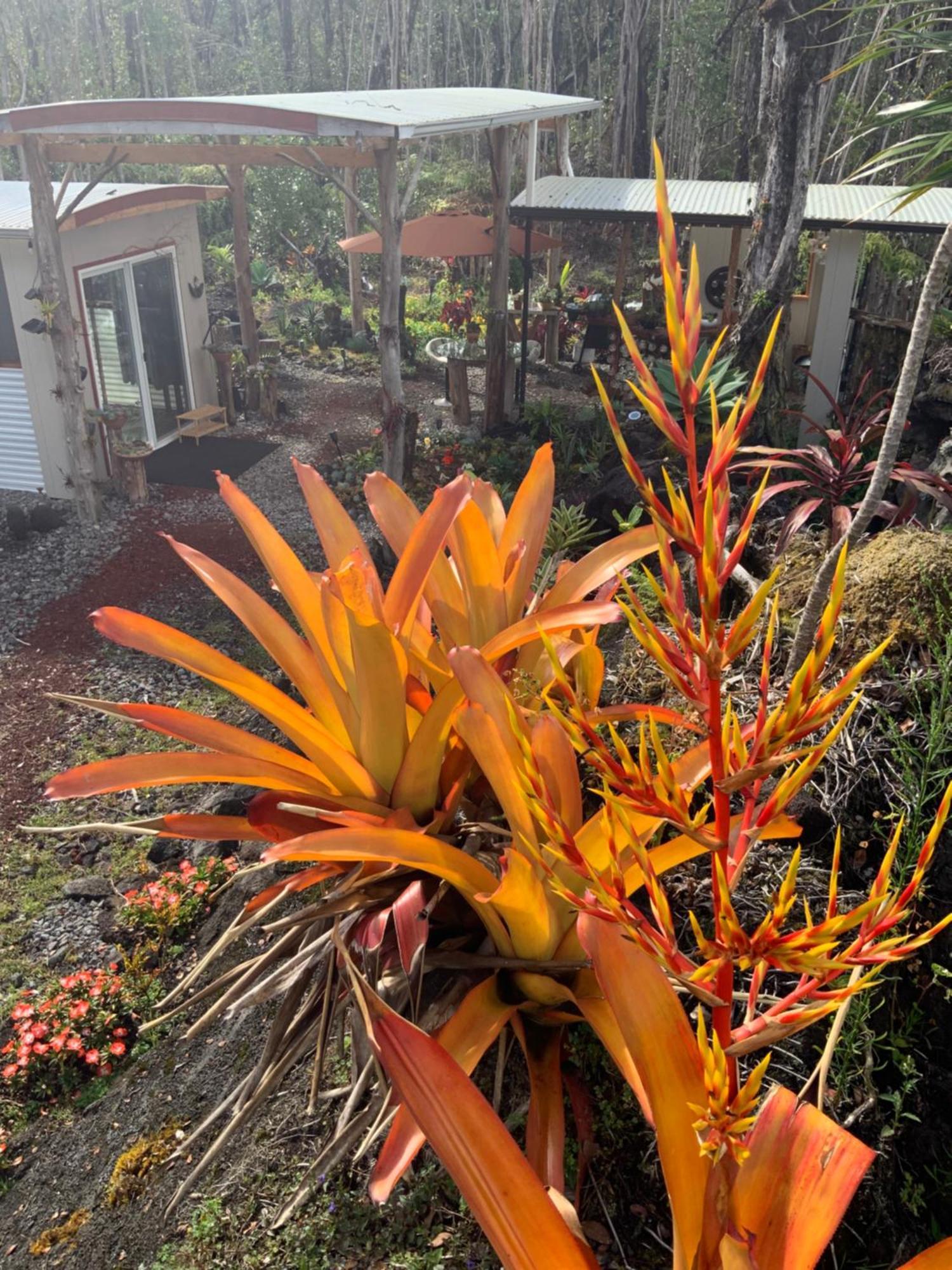 Exotic Garden Cottage At Amazing Volcano Fissure Mountain View Bagian luar foto