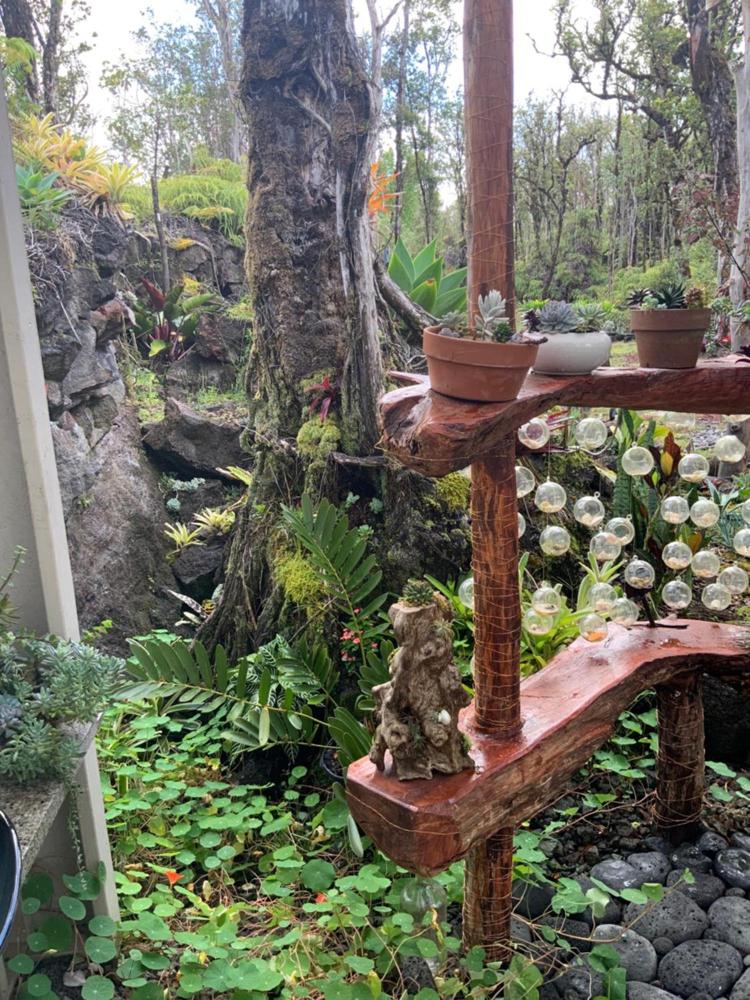 Exotic Garden Cottage At Amazing Volcano Fissure Mountain View Bagian luar foto