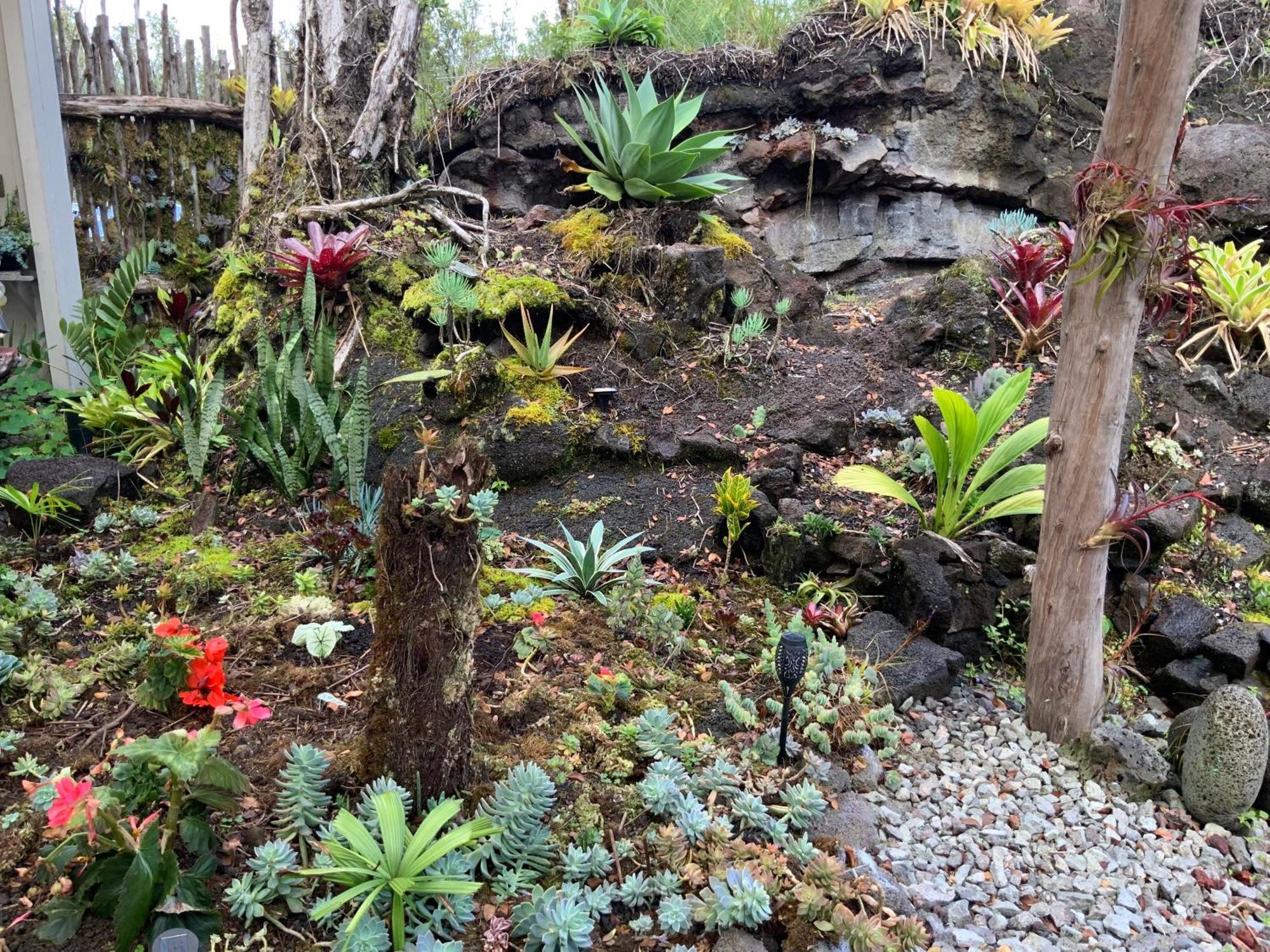 Exotic Garden Cottage At Amazing Volcano Fissure Mountain View Bagian luar foto