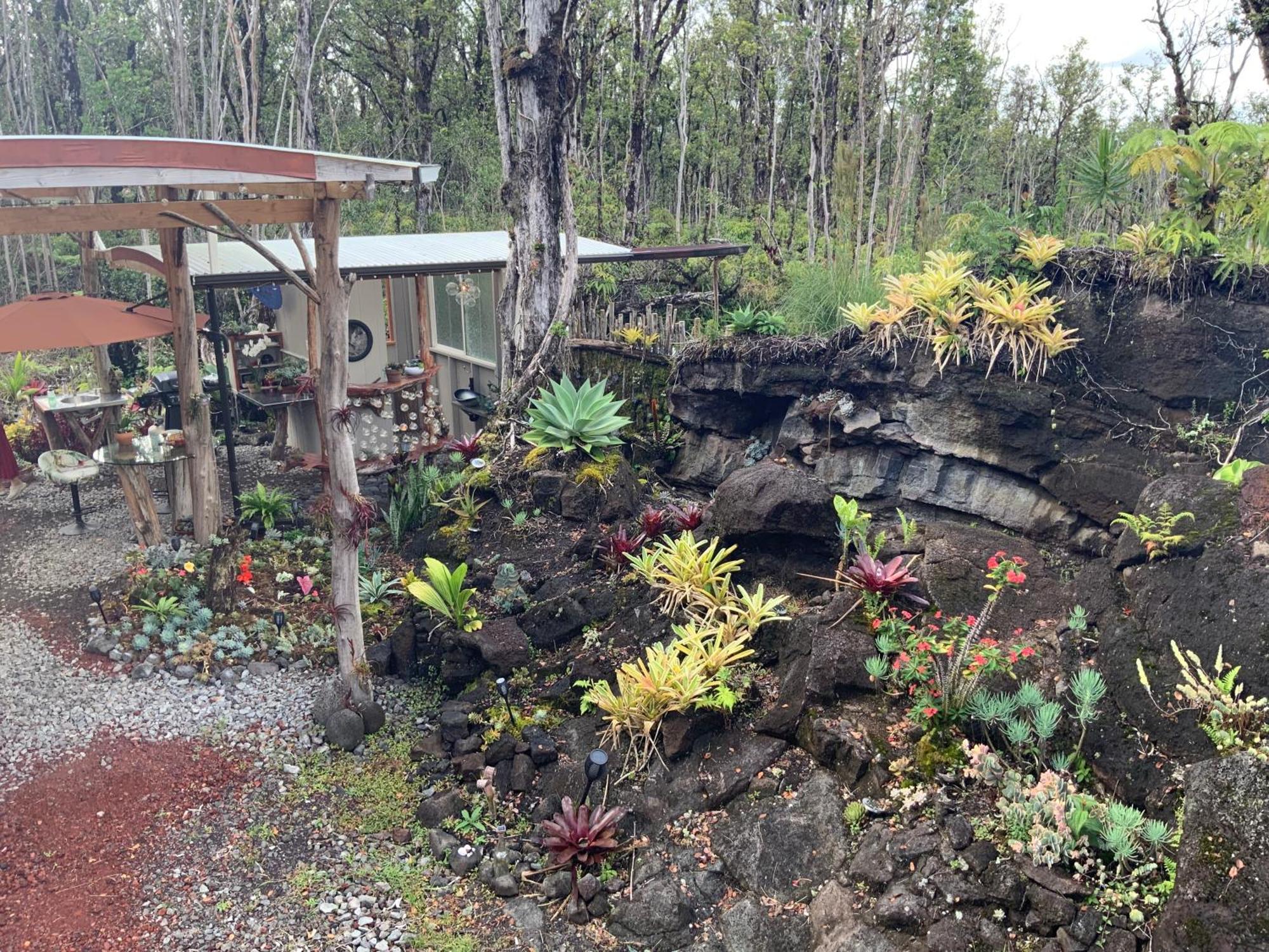 Exotic Garden Cottage At Amazing Volcano Fissure Mountain View Bagian luar foto
