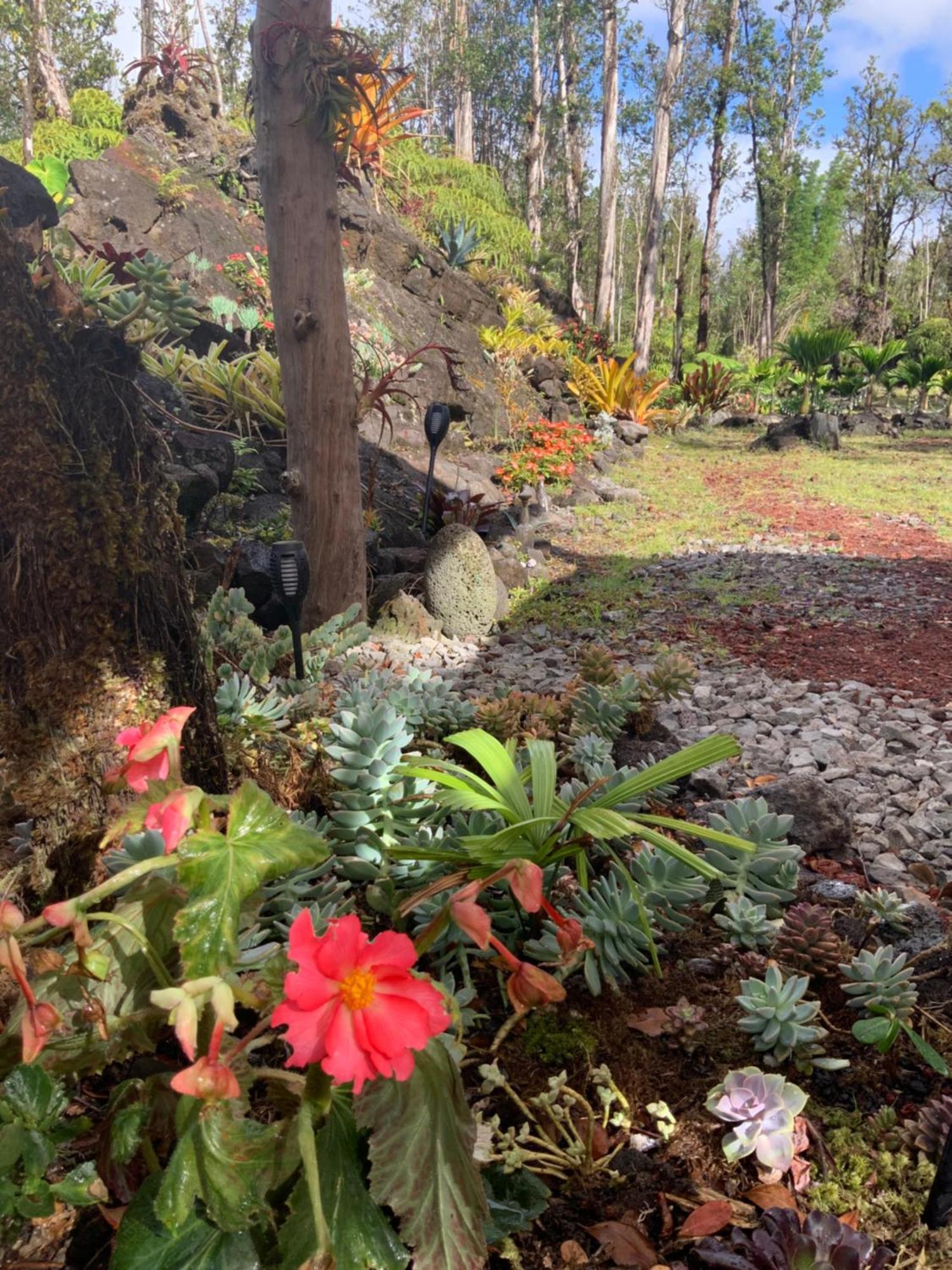 Exotic Garden Cottage At Amazing Volcano Fissure Mountain View Bagian luar foto