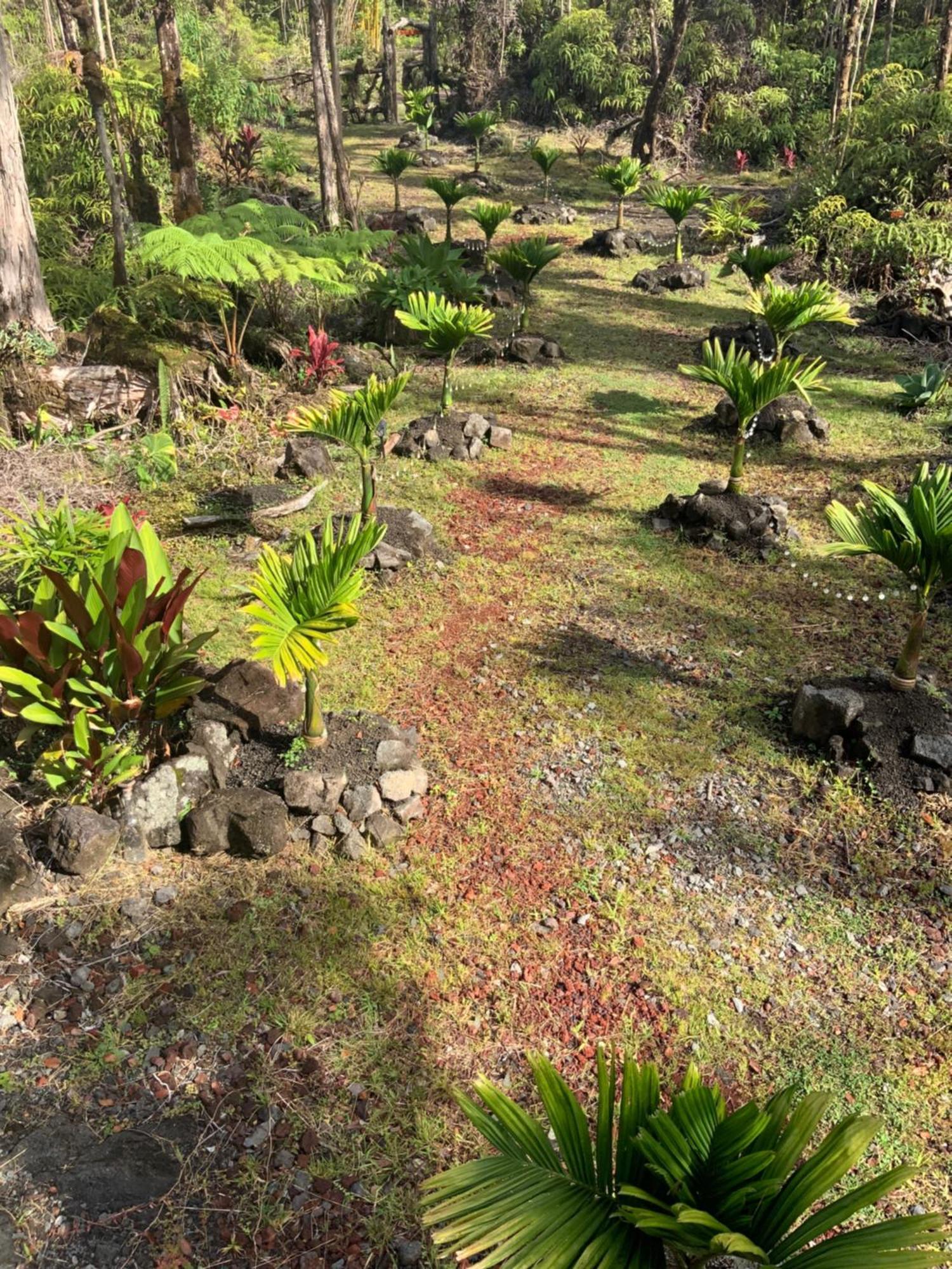 Exotic Garden Cottage At Amazing Volcano Fissure Mountain View Bagian luar foto