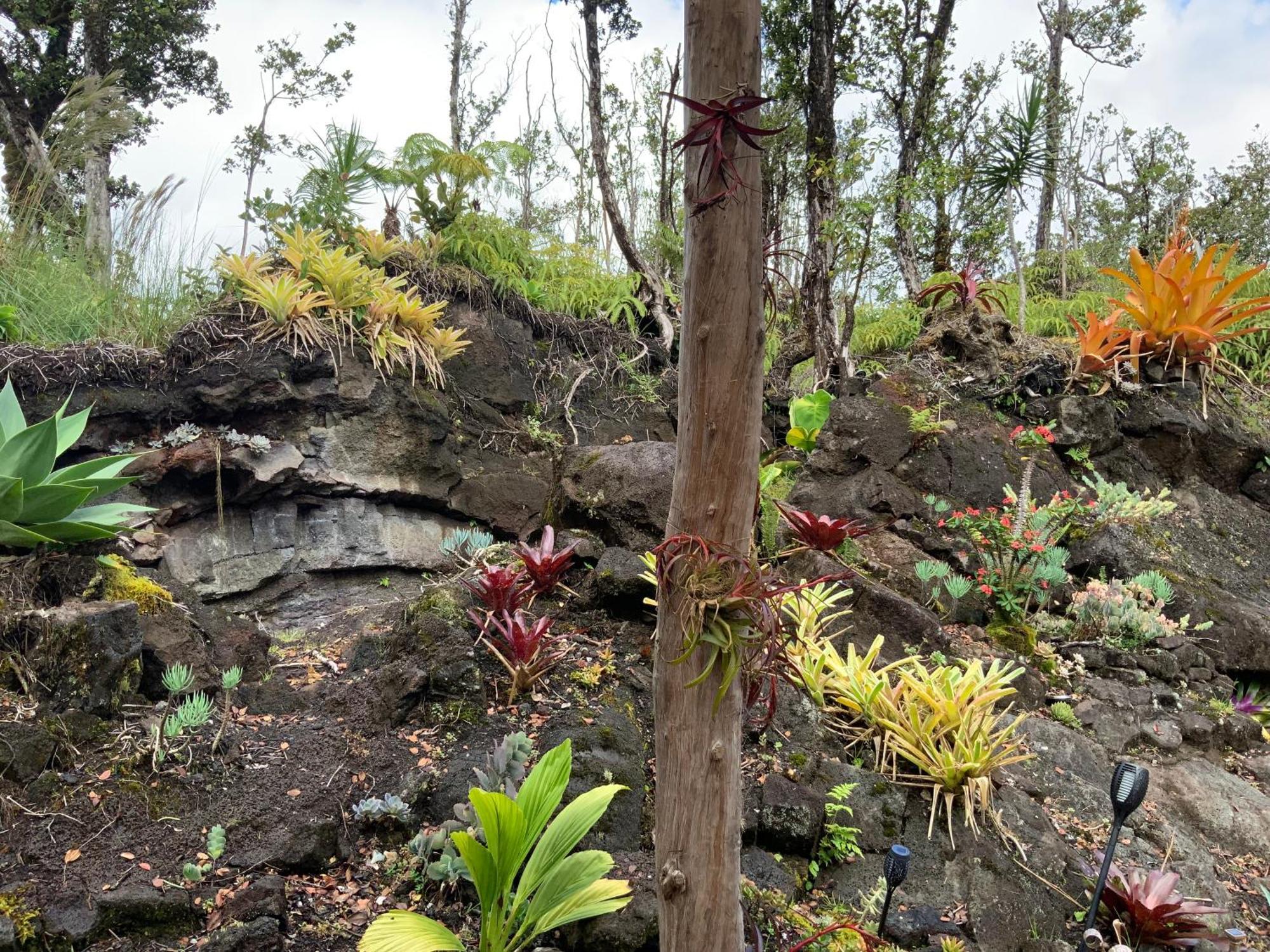Exotic Garden Cottage At Amazing Volcano Fissure Mountain View Bagian luar foto