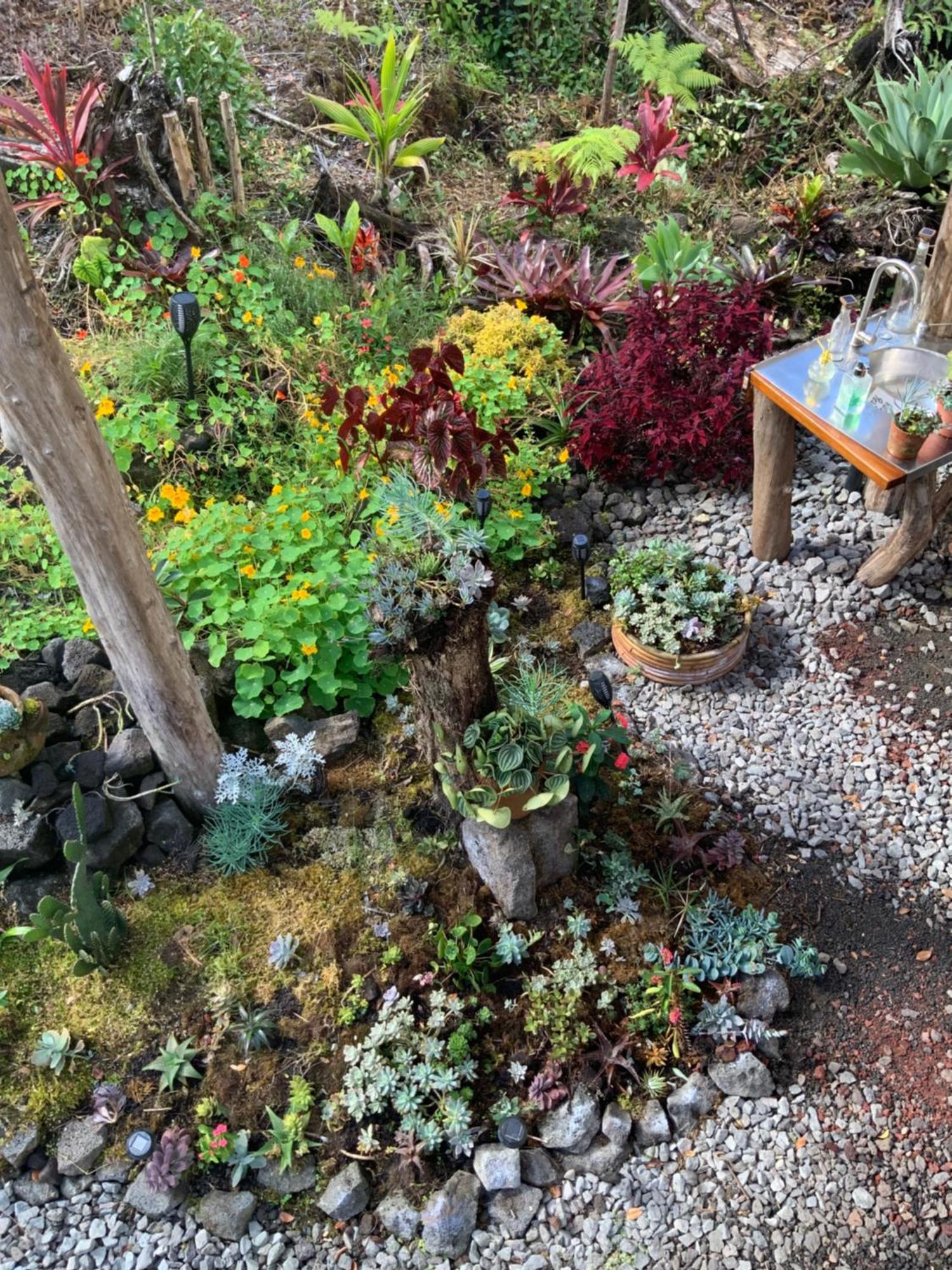 Exotic Garden Cottage At Amazing Volcano Fissure Mountain View Bagian luar foto