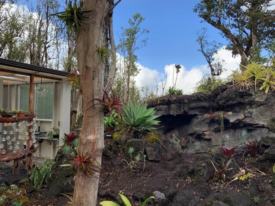 Exotic Garden Cottage At Amazing Volcano Fissure Mountain View Bagian luar foto