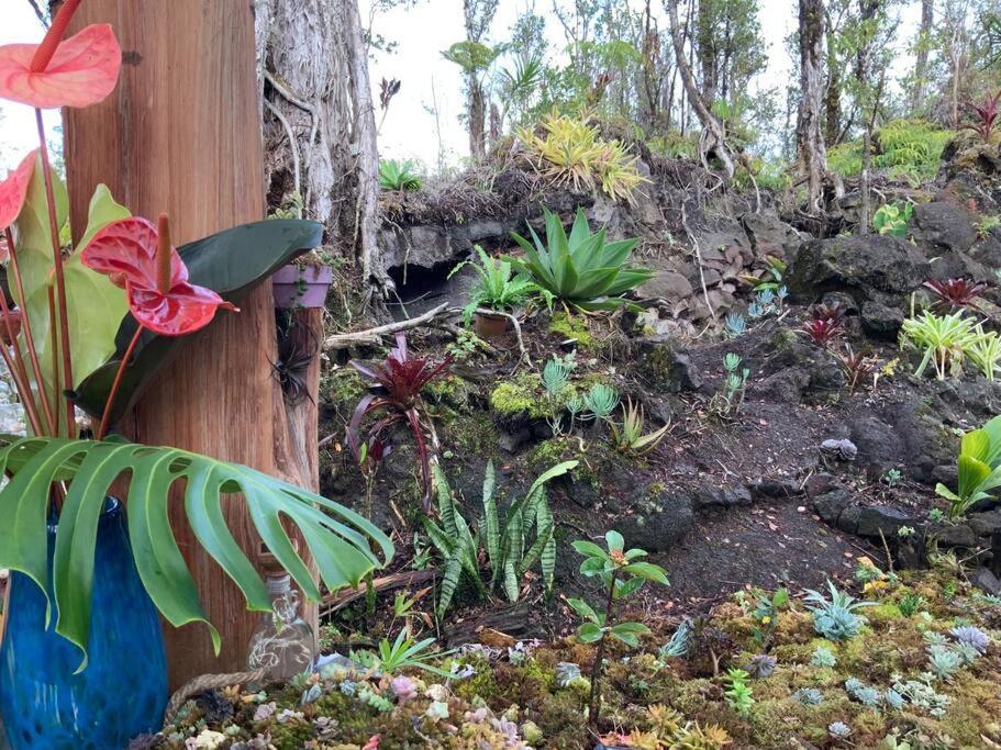 Exotic Garden Cottage At Amazing Volcano Fissure Mountain View Bagian luar foto