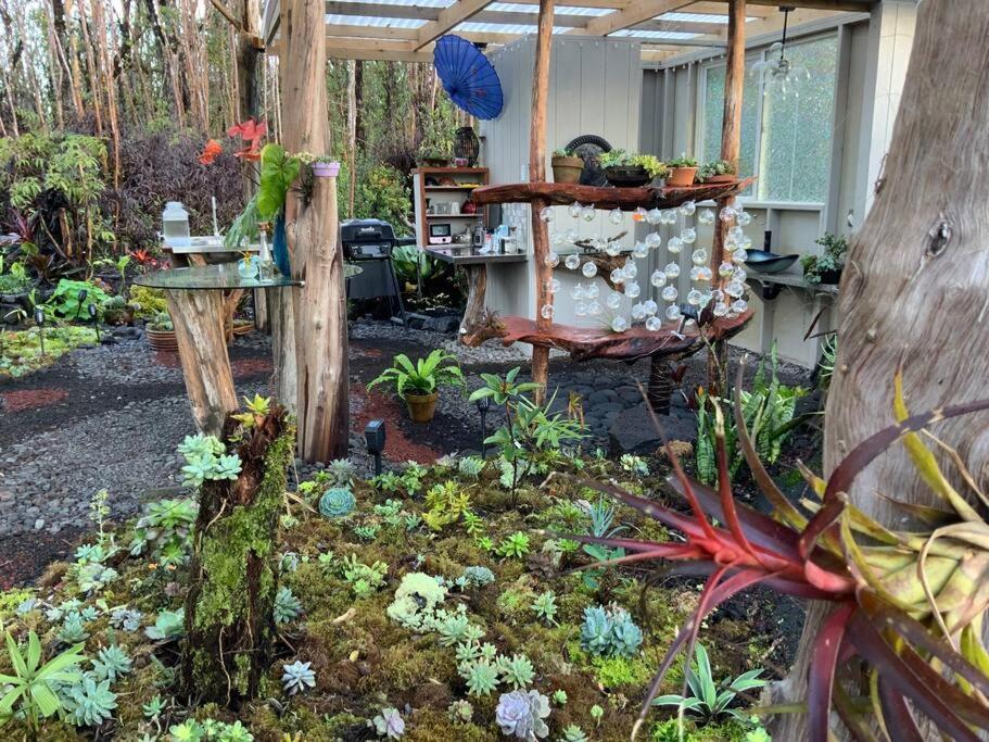 Exotic Garden Cottage At Amazing Volcano Fissure Mountain View Bagian luar foto