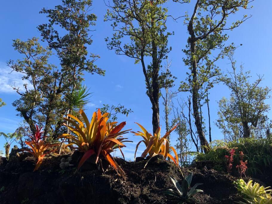 Exotic Garden Cottage At Amazing Volcano Fissure Mountain View Bagian luar foto