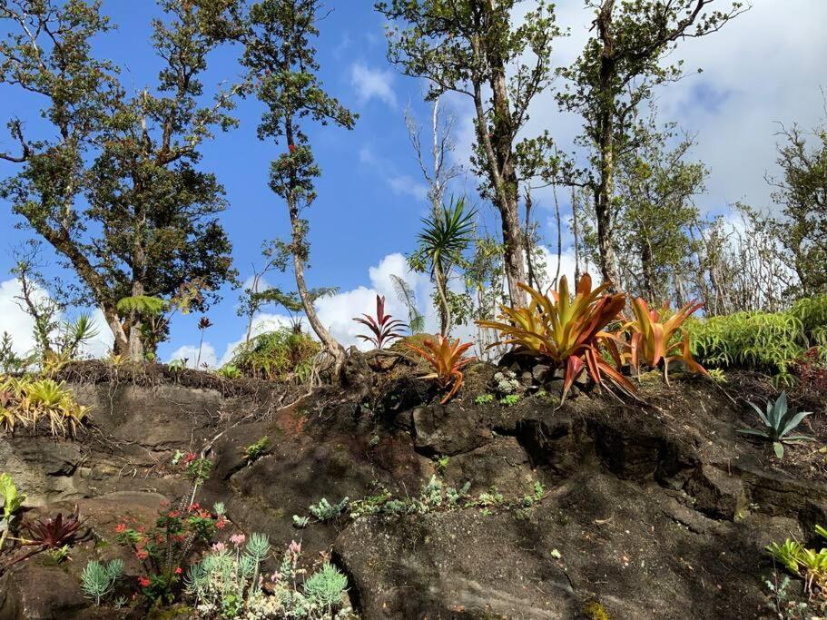 Exotic Garden Cottage At Amazing Volcano Fissure Mountain View Bagian luar foto
