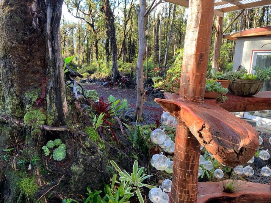 Exotic Garden Cottage At Amazing Volcano Fissure Mountain View Bagian luar foto
