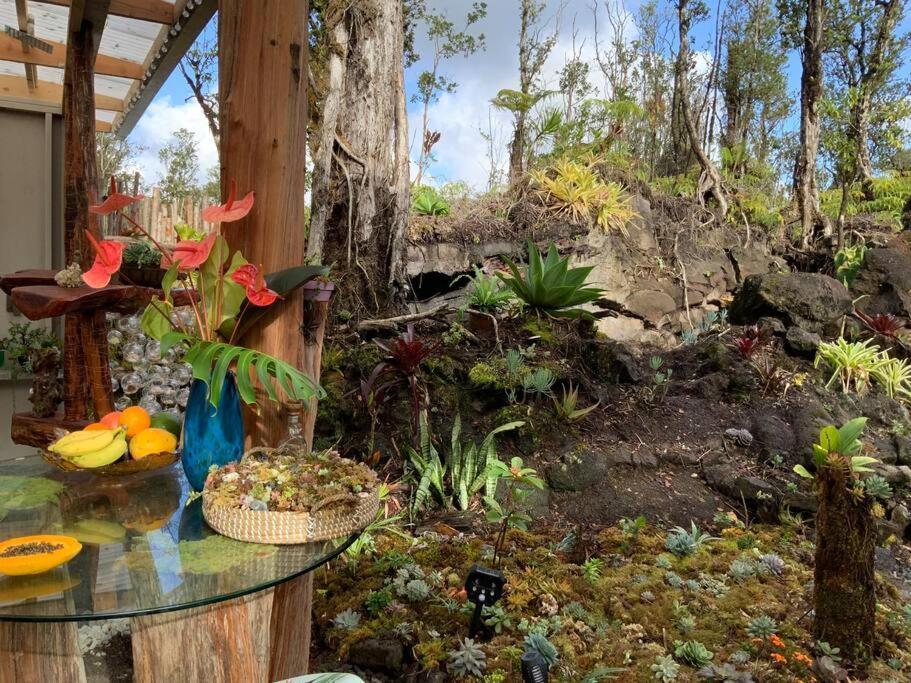 Exotic Garden Cottage At Amazing Volcano Fissure Mountain View Bagian luar foto