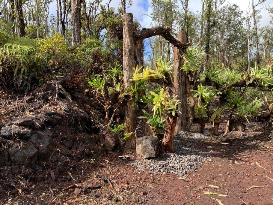 Exotic Garden Cottage At Amazing Volcano Fissure Mountain View Bagian luar foto